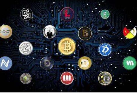 TP钱包支持的币种介绍